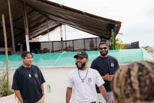 Cartagena: Champeta with us; It's a vibe!