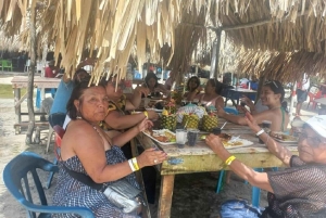 Cartagena: CHOLON & BARU med lunch