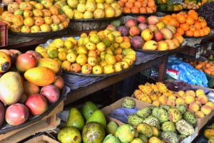 Cartagena: passeio pela cidade da Plaza Colonial e Getsemani com comida