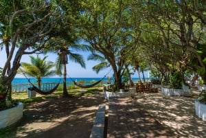 Cartagena: Tagesausflug zur Insel Cocoliso bei den Rosario-Inseln