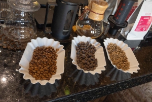 Cartagena: Specialty Coffee Tasting Experience