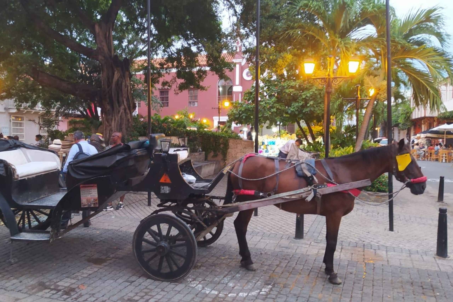 Kartagena: COLLONIAL HORSE DRAWN CARRIAGE by STARE MIASTO