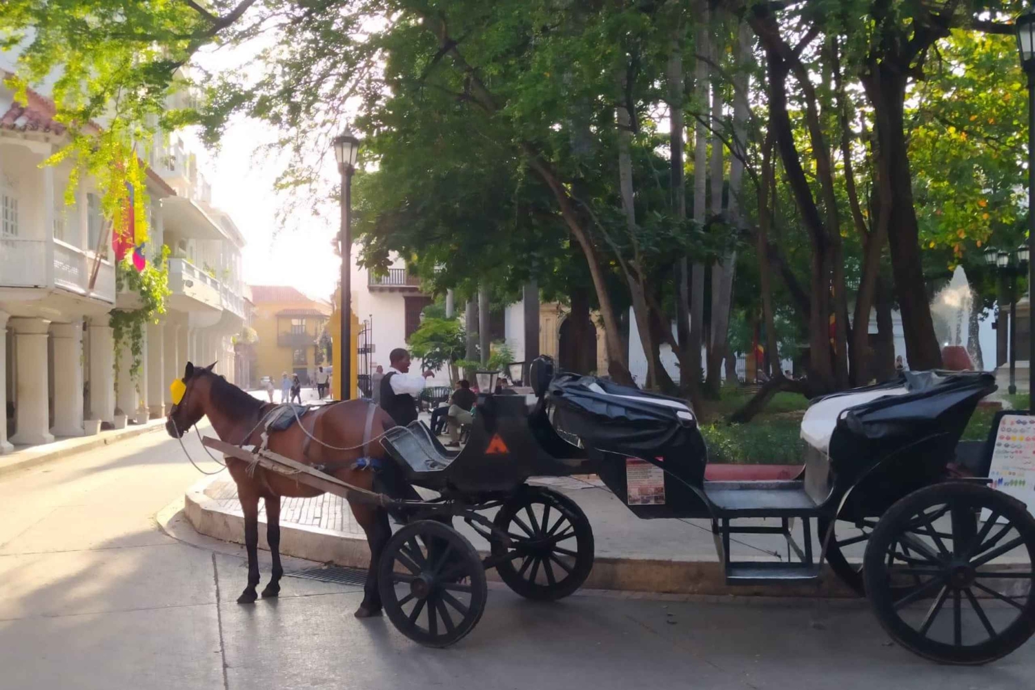 Kartagena: COLLONIAL HORSE DRAWN CARRIAGE by STARE MIASTO