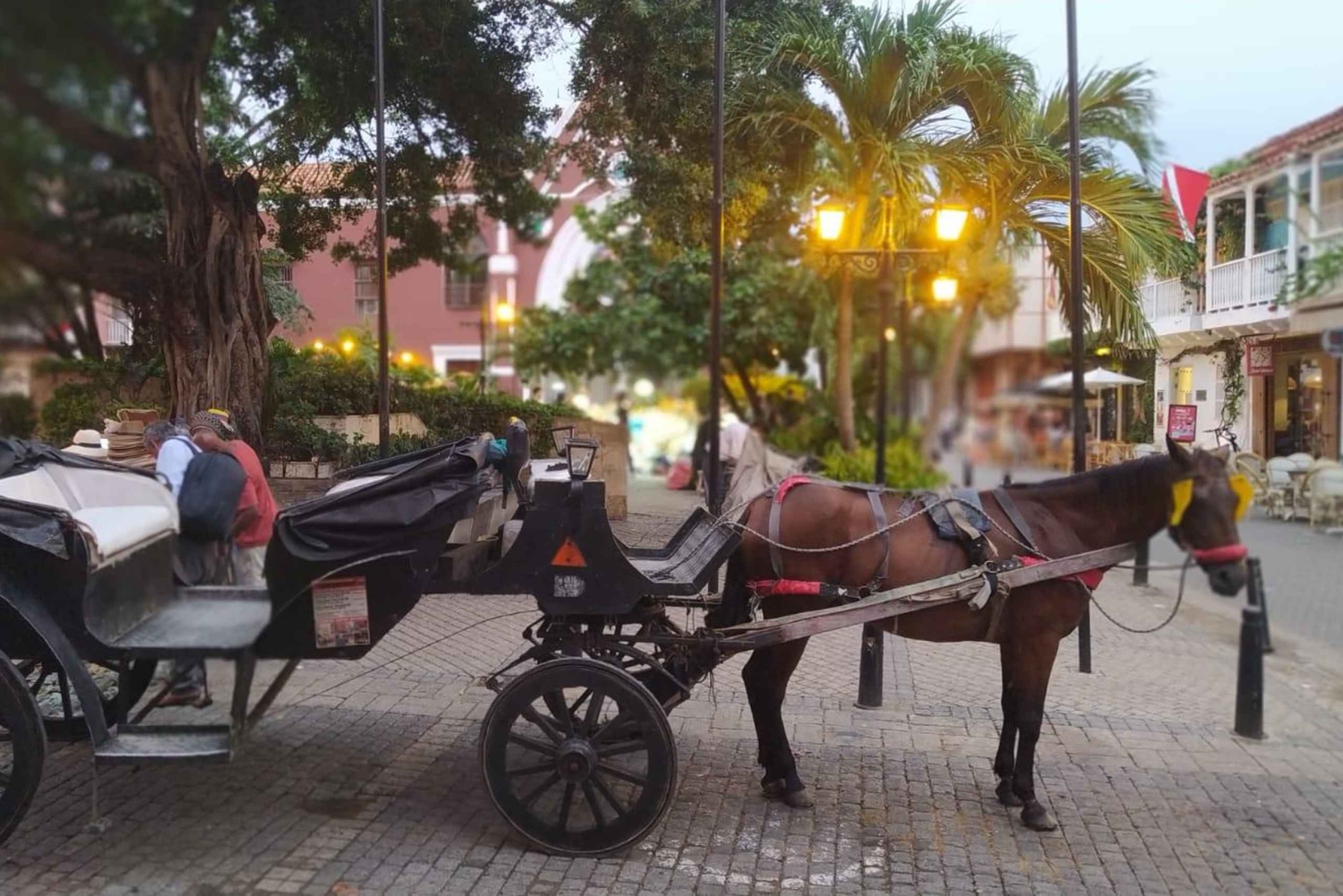 Kartagena: COLLONIAL HORSE DRAWN CARRIAGE by STARE MIASTO