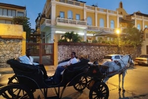 Cartagenassa: COLLONIAL HORSE DRAWN CARRIAGE by THE OLD CITY