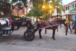 Kartagena: COLLONIAL HORSE DRAWN CARRIAGE by STARE MIASTO