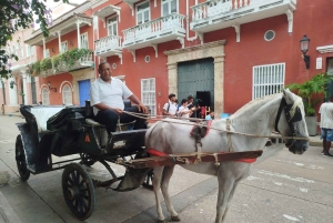 Kartagena: COLLONIAL HORSE DRAWN CARRIAGE by STARE MIASTO