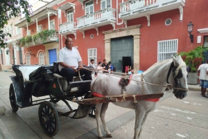Kartagena: COLLONIAL HORSE DRAWN CARRIAGE by STARE MIASTO