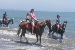 カルタヘナ：ビーチでの乗馬（写真と昼食付き