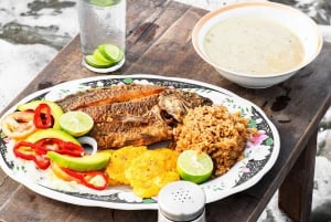 カルタヘナ：ビーチでの乗馬（写真と昼食付き