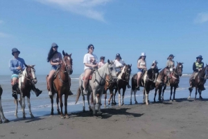 Cartagena, Colombia: Horseback riding on the Boquilla Beach