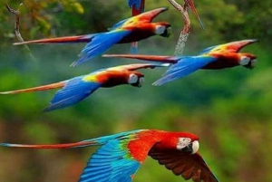 Carthagène : Transport privé jusqu'à l'AVIARY à Baru.