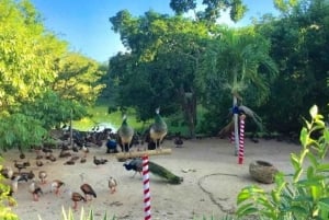 Carthagène : Transport privé jusqu'à l'AVIARY à Baru.