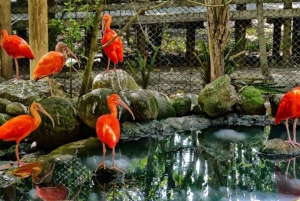 Carthagène : Transport privé jusqu'à l'AVIARY à Baru.