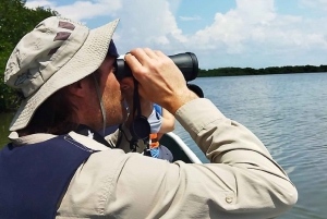 Cartagena: Sail in the mangroves of Cartagena