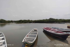 Cartagena: Sail in the mangroves of Cartagena