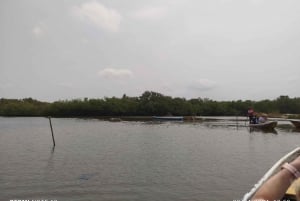 Cartagena: Sail in the mangroves of Cartagena