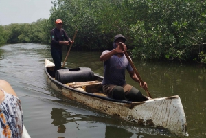 Cartagena: Sail in the mangroves of Cartagena