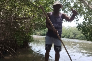 Cartagena: Sail in the mangroves of Cartagena
