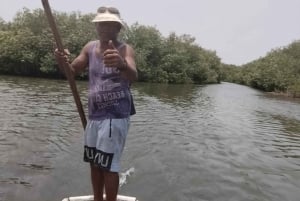 Cartagena: Sail in the mangroves of Cartagena