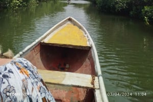 Cartagena: Sail in the mangroves of Cartagena