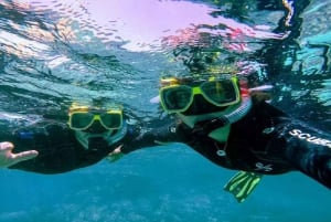 Carthagène : Excursion d'une journée sur l'île de Coralina avec déjeuner