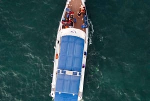 Cartagena: Crociera nella baia con cena e vino