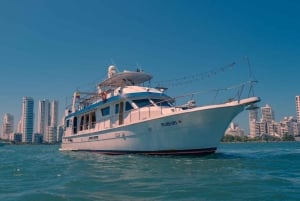 Cartagena: Crociera nella baia con cena e vino