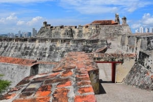 Cartagena Cruise Tour: Castle, Popa, and Historic Center (4 hours)