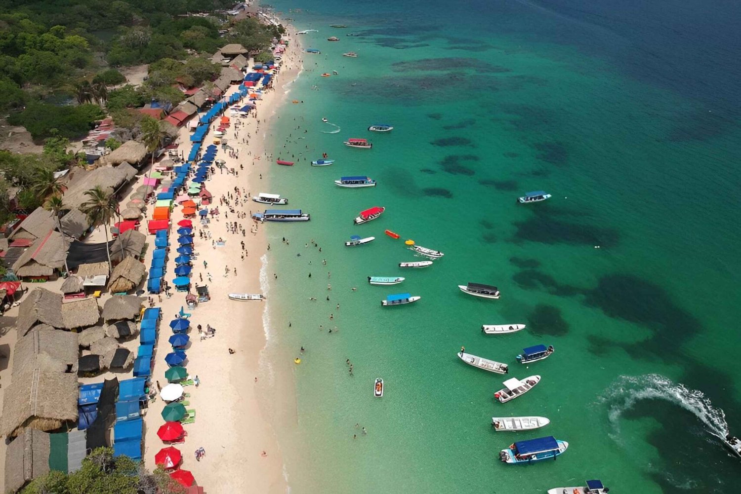 Cartagena: Dagtocht Volière en Playa blanca, Barú met de bus!