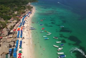 Cartagena: Excursión de un día al Aviario y Playa blanca en autobús