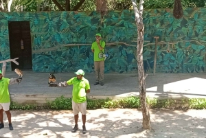 Cartagena: jednodniowa wycieczka do Aviary z wejściem + Playa Blanca autobusem