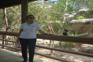 Cartagena: jednodniowa wycieczka do Aviary z wejściem + Playa Blanca autobusem