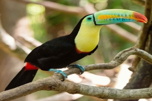 Cartagena: jednodniowa wycieczka do Aviary z wejściem + Playa Blanca autobusem