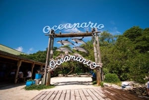 Cartagena das Índias: Passeio de barco 2x1 às Ilhas do Rosário e à Ilha Baru