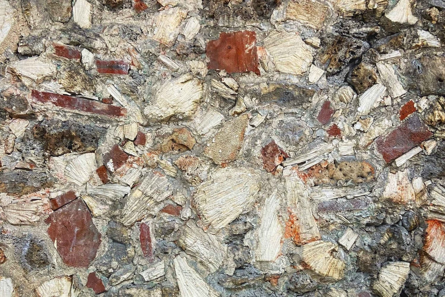 Cartagena de Indias: 3-godzinna wycieczka piesza po Starym Mieście! Kultura i zabawa