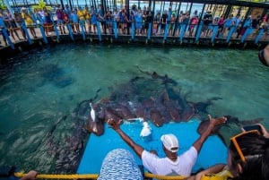 Cartagena de Indias: Pasadia 5 Islas del rosario and Baru boat trip