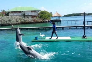 Cartagena de Indias: Pasadia 5 Islas del rosario and Baru boat trip