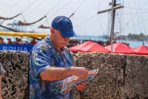 Cartagena: BYRUNDTUR HELE DAGEN, HOP PÅ HOP AF NÅR SOM HELST