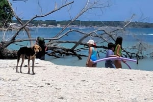 Cartagena: Eco-Historic Islands Tour to Barú, Tierra Bomba, & Bocachica