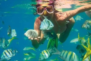 Cartagena: Eco-Historic Islands Tour to Barú, Tierra Bomba, & Bocachica