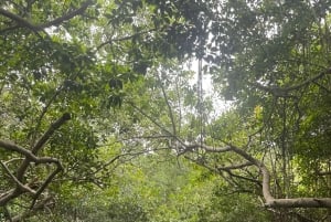 Cartagena: Eco-Historic Islands Tour to Barú, Tierra Bomba, & Bocachica