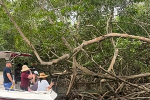 Cartagena: Eco-Historic Islands Tour to Barú, Tierra Bomba, & Bocachica