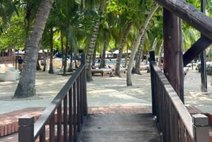 Cartagena: Eco-Historic Islands Tour to Barú, Tierra Bomba, & Bocachica