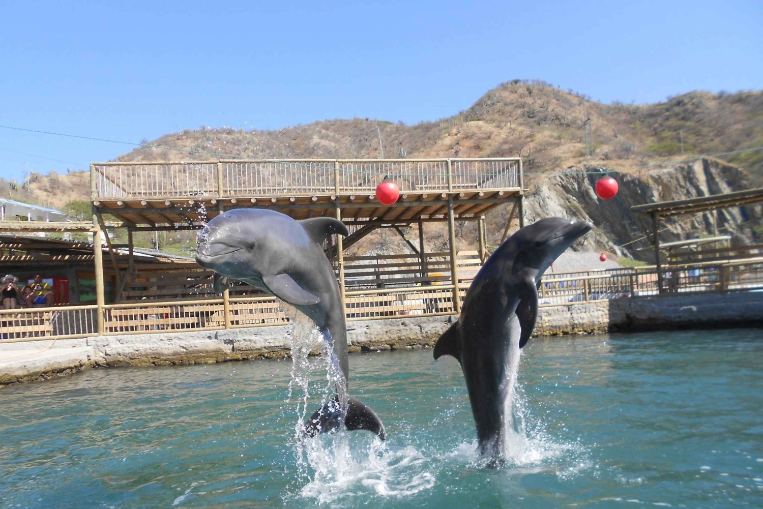 Cartagena: Ecoplan no Barú, Aviário e Oceanário em um dia