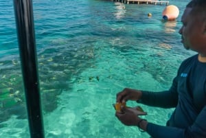 Cartagena: Ecoplan auf Barú, Voliere und Ozeanarium an einem Tag