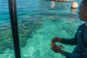 Cartagena: Ecoplan no Barú, Aviário e Oceanário em um dia