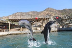 Cartagena: Ecoplan no Barú, Aviário e Oceanário em um dia