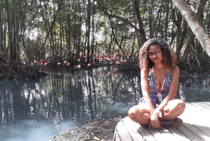 Cartagena: Ecoplan no Barú, Aviário e Oceanário em um dia