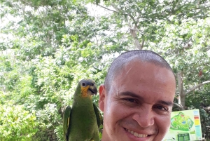 Cartagena: Ecoplan no Barú, Aviário e Oceanário em um dia